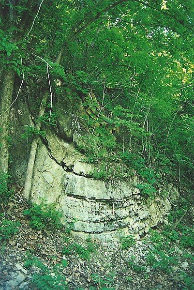 File:Roundtop Hill outcrop1.jpg