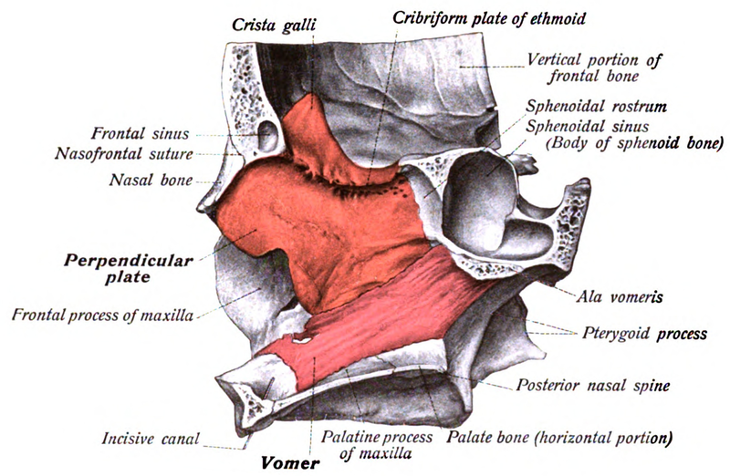 File:Sobo 1909 73.png