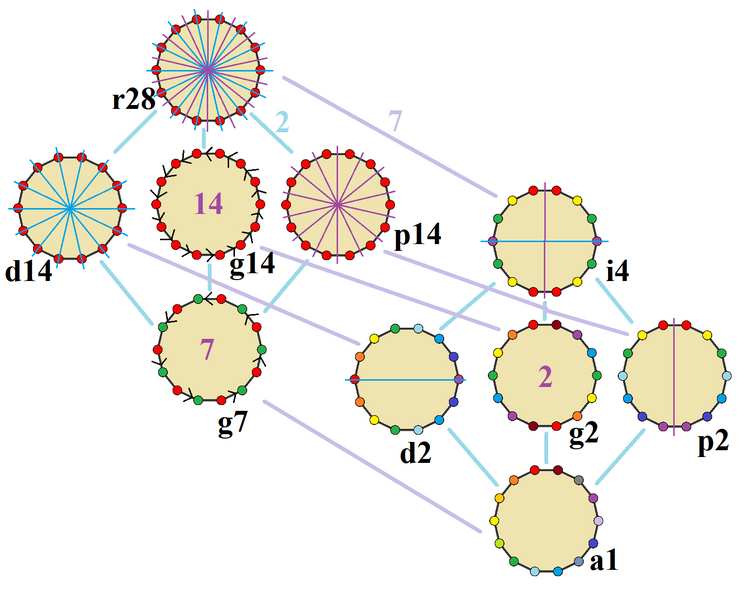 File:Symmetries of tetradecagon.png