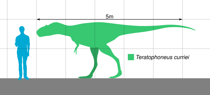 File:Teratophoneus Scale.svg