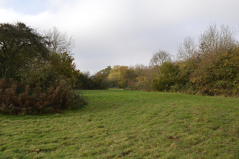 File:Tilwick Meadow 7.JPG