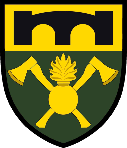 File:16th engineer regiment.png