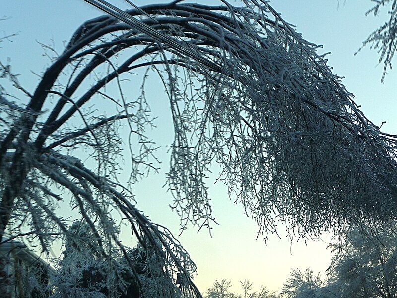 File:2008NYSIceStorm2.JPG