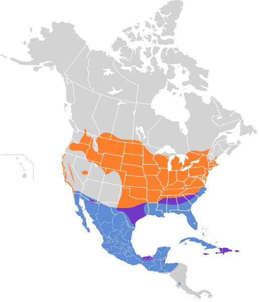 File:Ammodramus savannarum map.svg