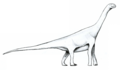 Amygdalodon