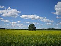 Parish countryside