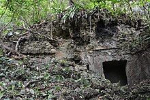 The photograph shows a limestone cliff partly covered by a landslide in which three gates for a traditional Ryukyuan tomb are dug. Only the right gate is completely visible, the two other ones being currently covered by the earth from the landslide. The vegetation has been broadly cleared in front of the tomb but is still luxuriant at the top of the cliff. The visible gate is squared. The stonework in ashlar masonry is still visible atop the left gate only.