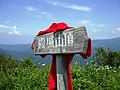 At the top of Mount Denjō