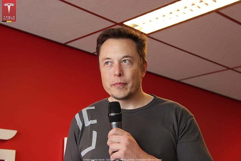 File:Elon Musk (12271217906).jpg