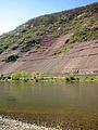 12. New plantings on the old steep hillside: Valwiger Herrenberg