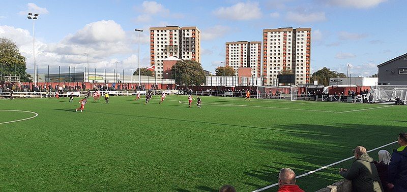 File:Holm Park pitch.jpg