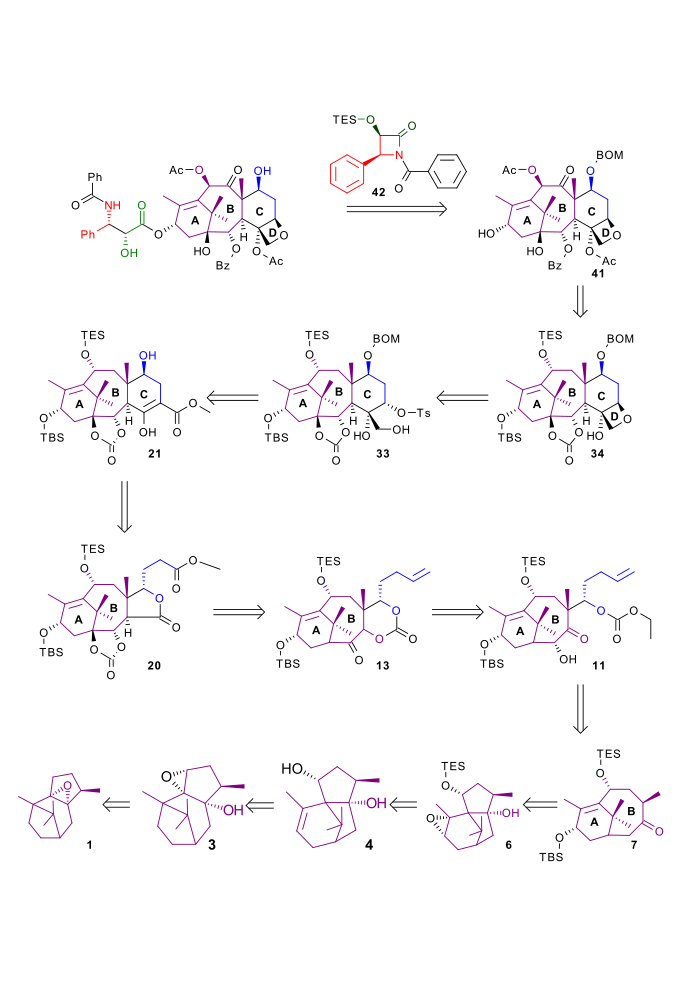 Holton taxol total synthesis retrosynthesis