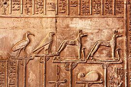 Divine standards depicted in Kom Ombo Temple. Second or first century BC.