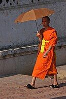 A young Buddhist monk in Laos.