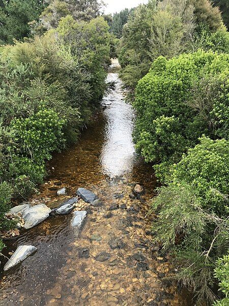 File:Little Ōnahau River.jpg