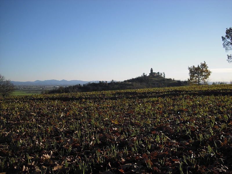 File:MontecastelloPanorama.jpg