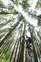 Mt. Hood National Forest receives heavy recreational use