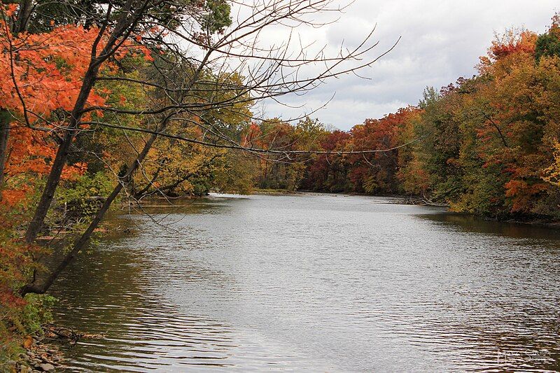 File:MuskegonRiverNearNewaygo.JPG