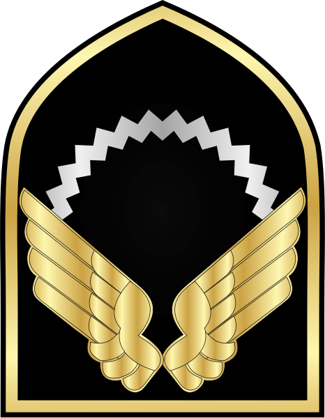 File:NAJA.Aircraft.Branch.svg