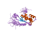 2cqm: Solution structure of the mitochondrial ribosomal protein L17 isolog