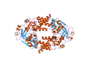 2o2k: Crystal Structure of the Activation Domain of Human Methionine Synthase Isoform/Mutant D963E/K1071N