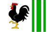 Flag of Proseč