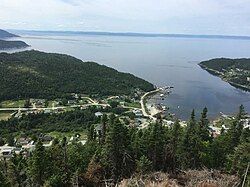 View of Seal Cove seen from the Bond Site Lookout