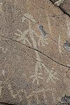 Foxtrot Petroglyph Site