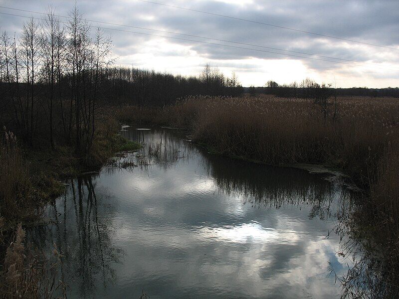 File:Usman River.JPG