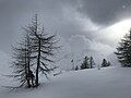 Vertikalantenne im Schnee