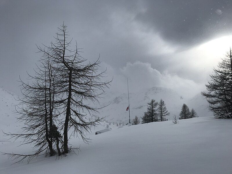 File:Vertikalantenne im Schnee.jpg