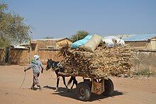 A small dark horse drawing a loaded wooden cart