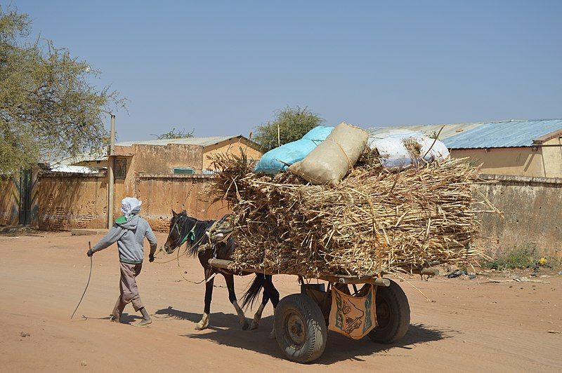 File:ناقلة حصان.jpg