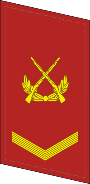 File:CAPF-Collar-0704-SGT.png