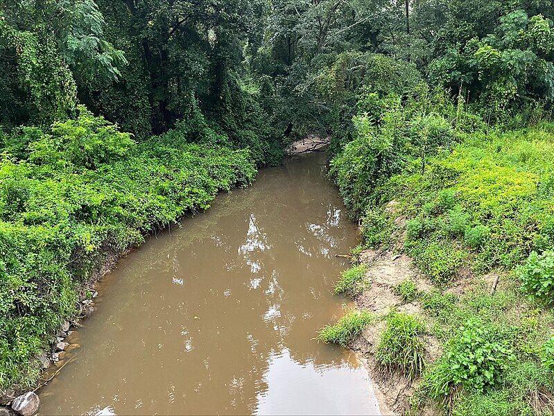 File:Chickasawhay Creek.jpg