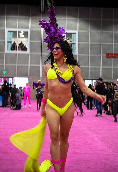 File:Dragcon2-SAT-51 (47937185713) (cropped).jpg