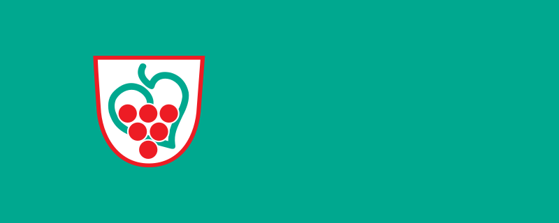 File:Flag of Semič.svg