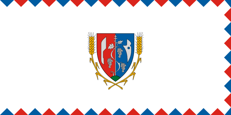 File:Flag of Sződ.svg