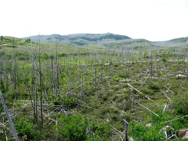 File:Grands-Jardins-Québec.jpg