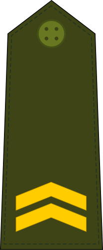 File:Guinea-Bissau-Army-OR-4.svg