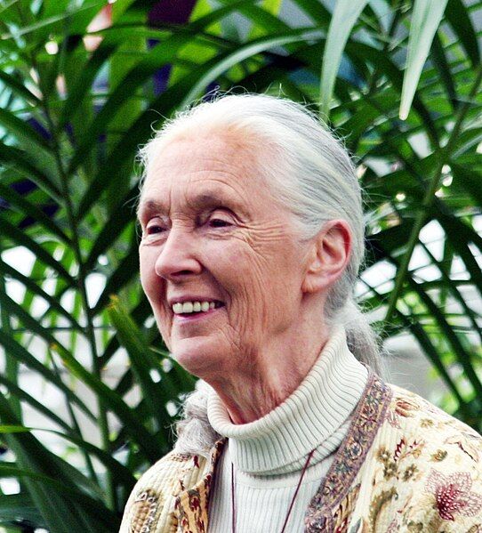 File:Jane Goodall GM.JPG