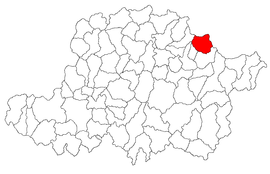 Location in Arad County