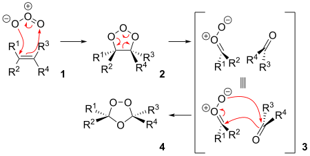 The reaction mechanism of ozonolysis.