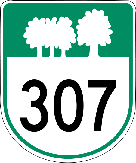 File:PEI Highway 307.svg