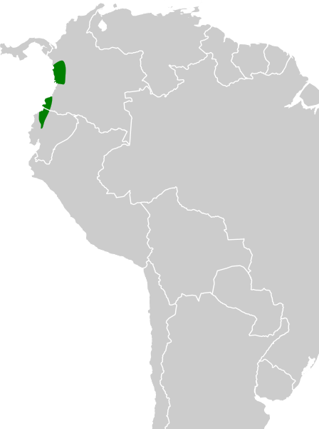 File:Pittasoma rufopileatum map.svg