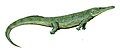 Prionosuchus plummeri, of the early Permian of Brazil