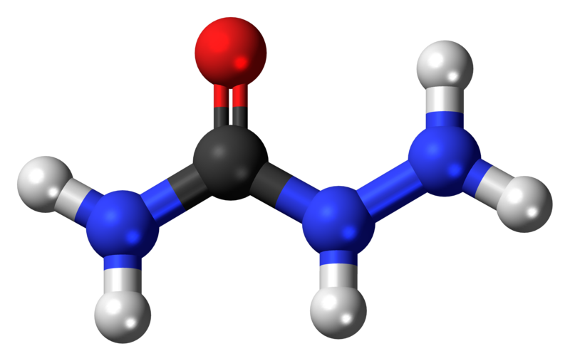 File:Semicarbazide 3D ball.png