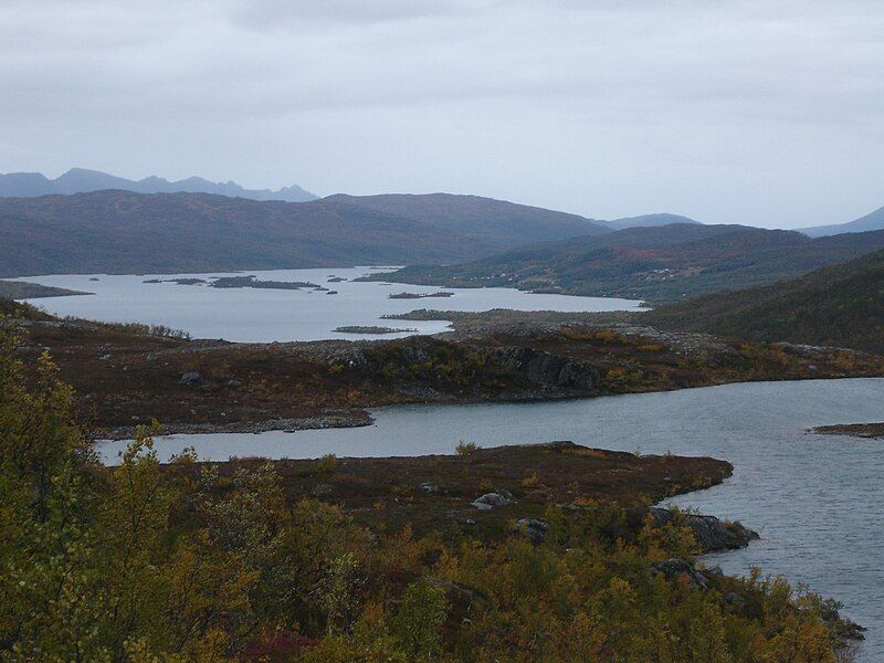 File:Skogsfjordvatn.jpg