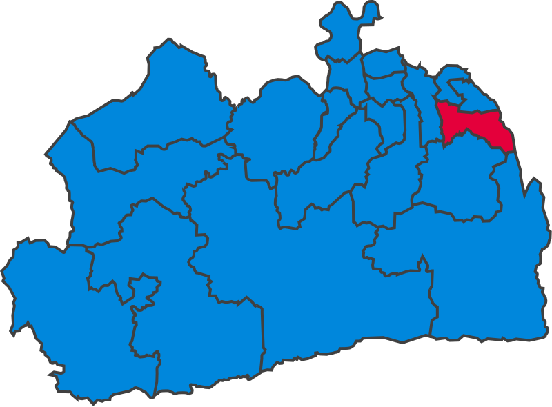 File:SurreyParliamentaryConstituency1966Results.svg