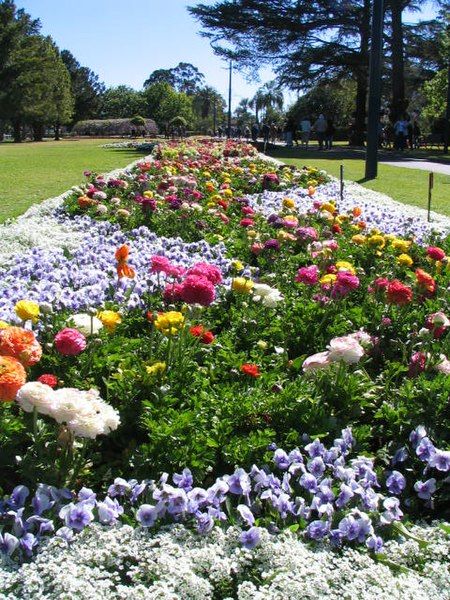 File:Toowoombagardenfestival.jpg